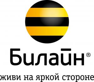 ВымпелКом разместил сайт-отель в Дата-центре Имаклик
